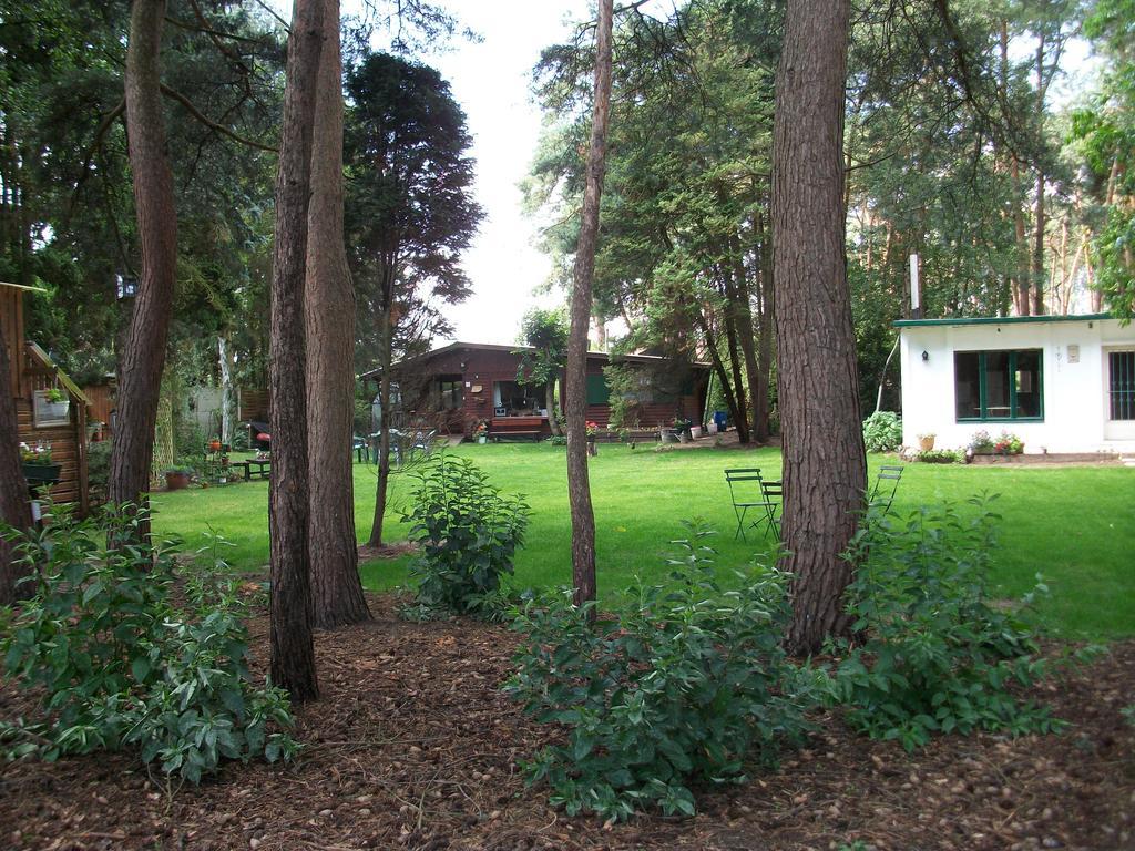 Helpende Hand Villa Oelegem Kültér fotó